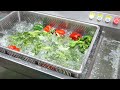 Vegetable Bubble Ultrasonic Ozone Disinfection Washing Machine#washingmachine #vegetables