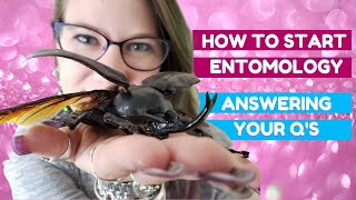 How To Become an Entomologist: Answering your Questions