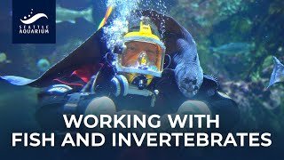 Jobs at an Aquarium: Working with Fish, Invertebrates, and More!
