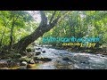 Thommankuthu waterfalls vannapuram thodupuzha