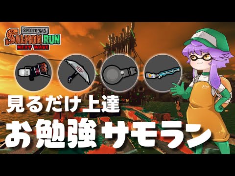 【サーモンランNW】見るだけ上達"お勉強ｻﾓﾗﾝ"！めちゃつよすじこジャンクション（タツ【スプラトゥーン3】