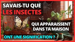 🐞🦋 Savais-tu que les insectes et animaux qui apparaissent dans ta maison ont une signification ?