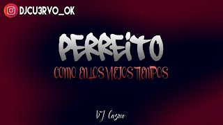 PERREITO (REMIX) ✘ DJ Cu3rvo Resimi