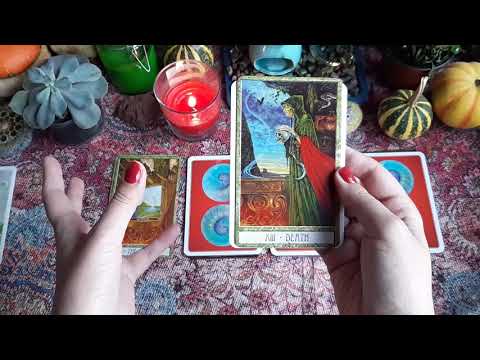 რა მელის კარიერაში?