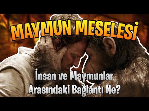 Maymun Meselesi: İnsan ile Maymunların Bağlantısı Nedir?