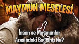 Maymun Meselesi İnsan Ile Maymunların Bağlantısı Nedir?