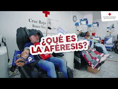 ¿Qué es la