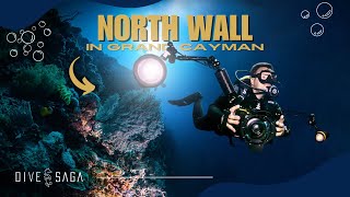 SCUBA Diving the Cayman Islands North Wall