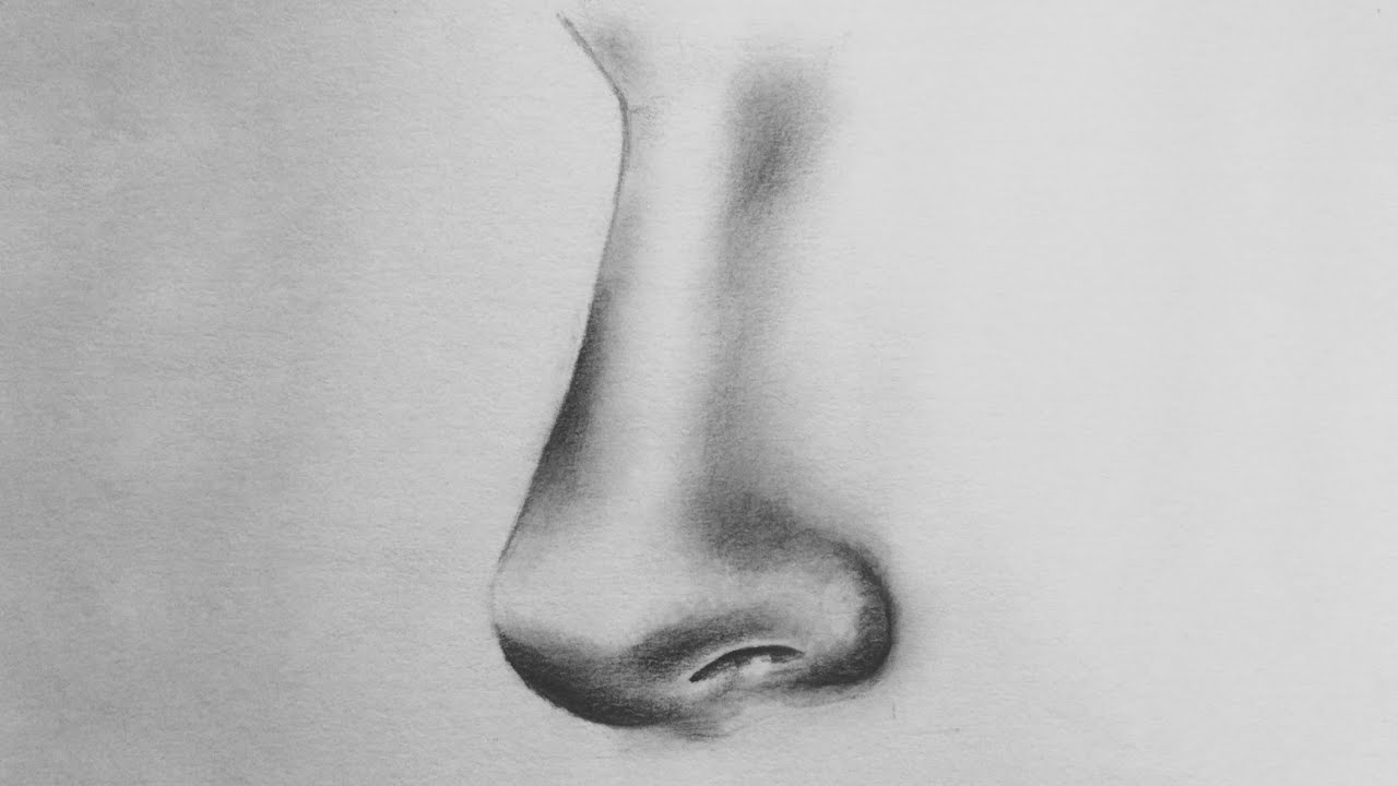 Вздернутый нос рисунок