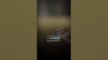 سورة الإخلاص | تلاوة مريح ❤️🥰 #قرآن #تلاوات #راحة_نفسية #تلاوات_خاشعة #تلاوة_هادئة #اكسبلور #الله