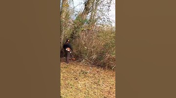 Grass cutting process part 57 | fix uneven grass height after mowing