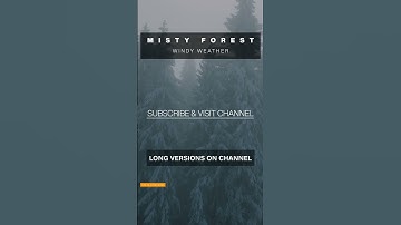 Misty Forrest Windy Weather | Sounds To Sleep | Winds Through The Canopy