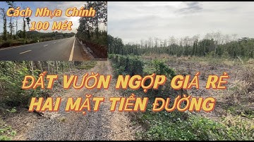 ĐẤT NGỢP NGÂN HÀNG NÊN ANH THẢO CẦN BÁN GẤP VỚI GIÁ CỰC KỲ RẺ TẠI XÃ QUẢNG THÀNH HUYỆN CHÂU BRVT
