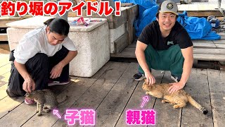 釣り堀に行ったら可愛い猫の親子にめちゃくちゃ懐かれました！？