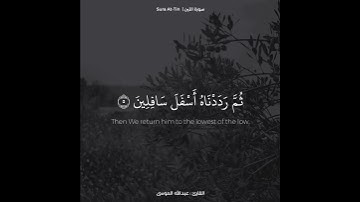 القارئ عبدالله الموسى ﴿ لَقَدۡ خَلَقۡنَا ٱلۡإِنسَٰنَ فِيٓ أَحۡسَنِ تَقۡوِيمٖ﴾