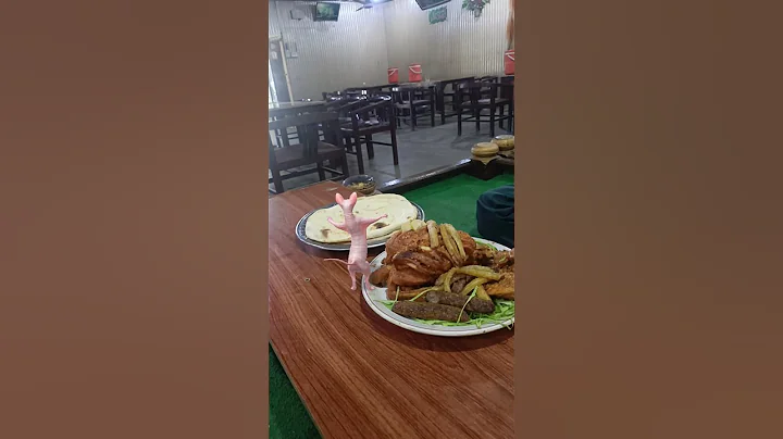 Video 11487741: sphynxcat cat kitten, sphynx cat funny kitten, sphynxcat dancing cats