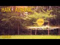 HAIK - AURORA: Full Documentary &amp; Concert | Reaction | Trailer