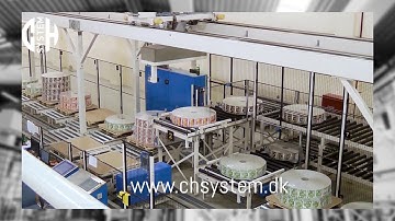Gantry Robot two axis with double heads by CH System