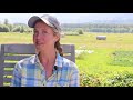 Foothills farm  sare feed fermentation study findings presented by scratch and peck