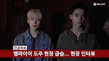 뱀파이어 인터뷰 2 : 뱀파이어 소탕 작전 편 - ENHYPEN (엔하이픈)