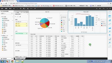 Visual Insight操作