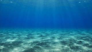 Musik dengan suara laut - tidur musik santai screenshot 3