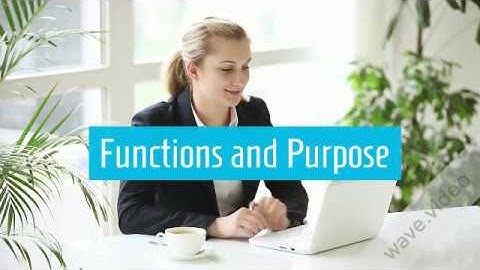 Similarities Between the Computer and the Brain