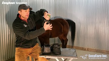 Introducing the New Easyboot Sneaker