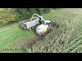 Maishäckseln 2020 Teil 9 LU Krumm Claas Jaguar 950 Deutz 7250 TTV, Deutz 6190, Fendt 820 [4K]