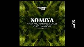 WÄRM, Amour Propre, Idd Aziz - Ndauya (Enoo Napa Remix)