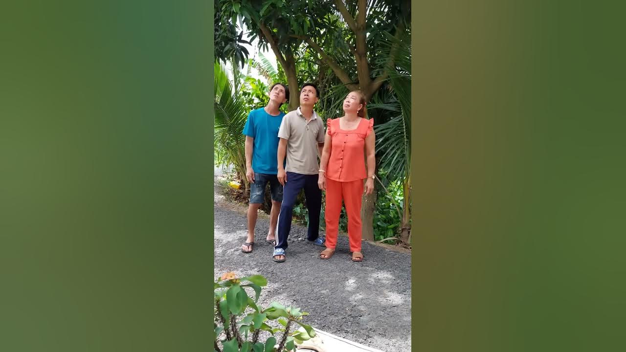 Trưa nắng lên nóc nhà hát | Phước Lầy #shorts