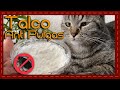 Tip: Cómo hacer talco anti pulgas para gatos