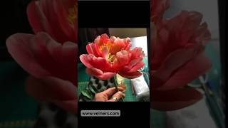 How to make peony petals with silicone flower molds and veiners Cold Porcelain Christina Wallis