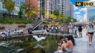 Seoul Walking Tour 4K | Autumn Cheonggyecheon Stream to Insadong | Relaxing City Walk | 청계천, 인사동 거리