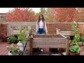 November Container Garden Tour | Rooftop Gardening