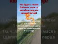 Что будет с твоим бобиком, если ты начнёшь пить это каждый вечер?