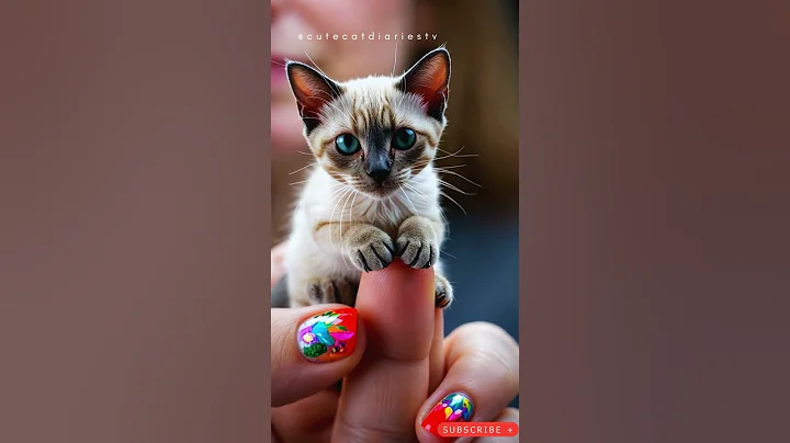Watch the video about Tiny Photorealistic Siamese Cat Perched on Finger | Macro Shot with Vibrant Nail Art #siamesecat