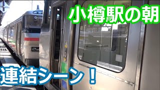 【札幌方面に続々発車！】函館本線 小樽駅の朝【キハ201系ニセコライナー・735系・731系・733系・721系】