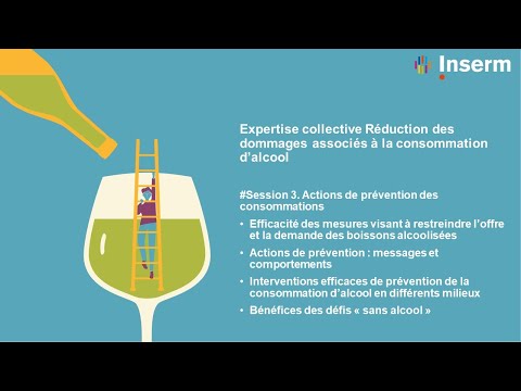Expertise collective Réduction des dommages associés à la consommation d’alcool #Session3