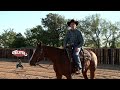 Communicating with your horse clearly with richard winters horsemanship and weaver equine