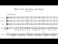J.S Bach - Cantata: Mein Gott, wie lang, ach lange, BWV 155