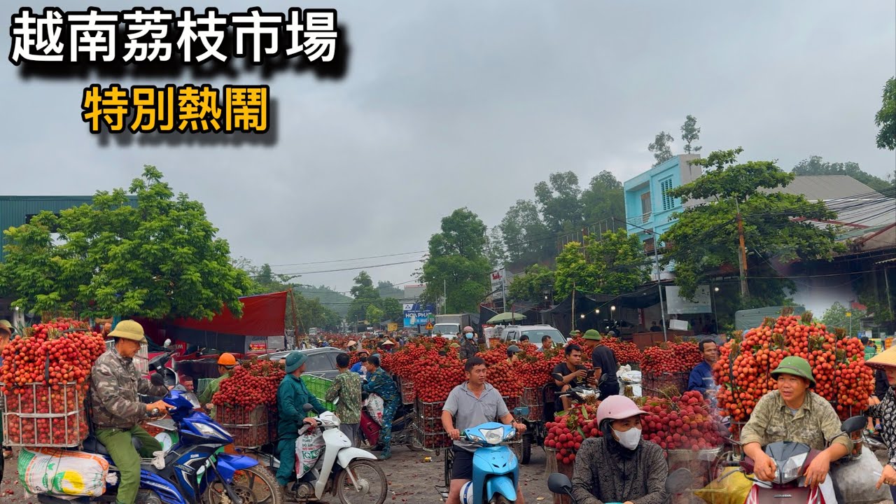 越南荔枝的市場，幾千個人一起在路邊賣荔枝，價格很便宜。