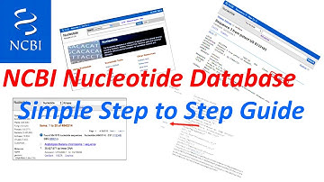 (Bioinformatics) Biological Databases | NCBI Nucleotide Database (Bioinformatic Practical Part-1)