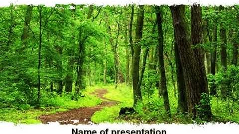 Green Woods PowerPoint Template by PoweredTemplate.com
