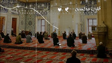 سكون التراويح رمضان 2024 | تلاوة تهز القلوب