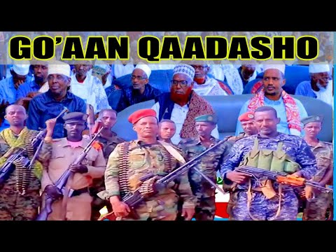 DEG DEG Beesha Ciise Oo Ku Dhawaaqday In Aysan Joojin Doonin Xaflada Xeer Ciise Wareeysi Kale