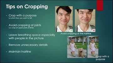 Crop Images in Fast stone - Crop Tips and Tricks