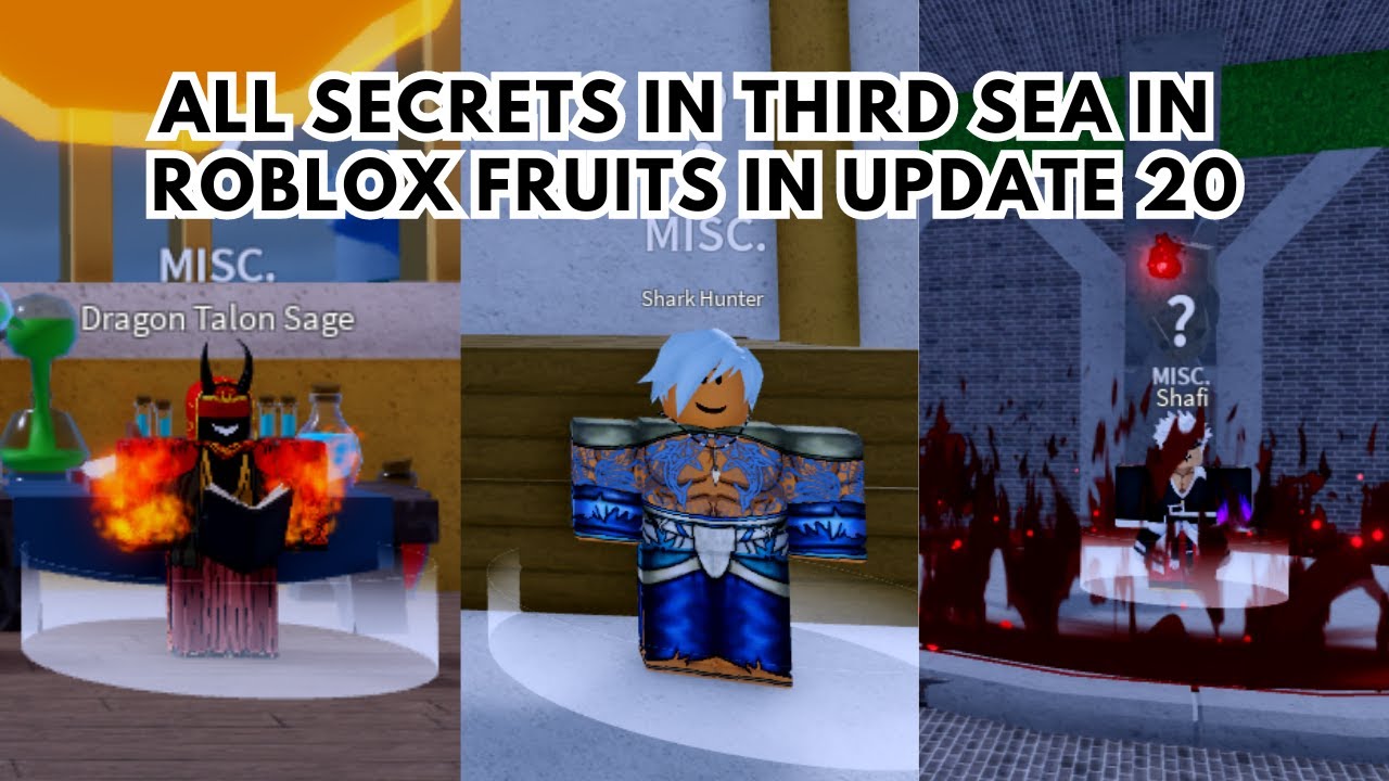 Finally got to third sea. What should I do? : r/bloxfruits