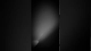 Disco Minion Dum Dee Dum