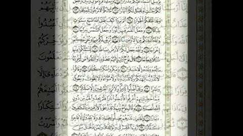صوت هادئ قراءة ممتعه من اجمل ما هتسمع .. سورة نوح .. من يعرف اسم القارئ